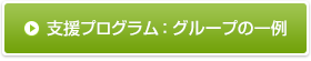支援プログラム：グループの一例を見る