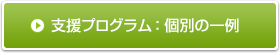支援プログラム：個別の一例を見る